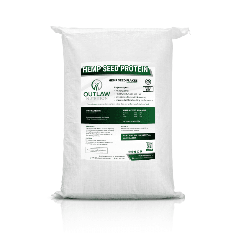 Hemp Seed Protein - Image 3