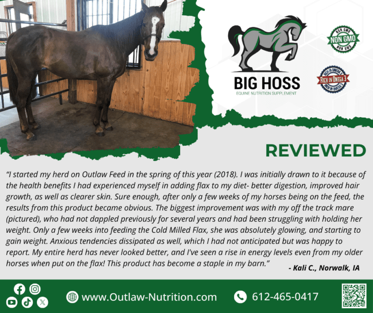 Cold Milled Flax shiny horse