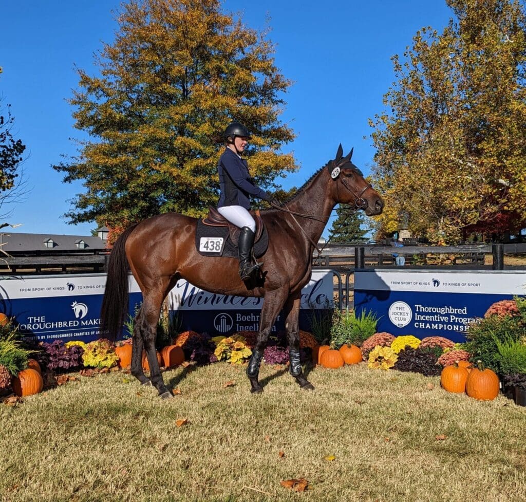 animal recovery supplements helping performance horses recover faster